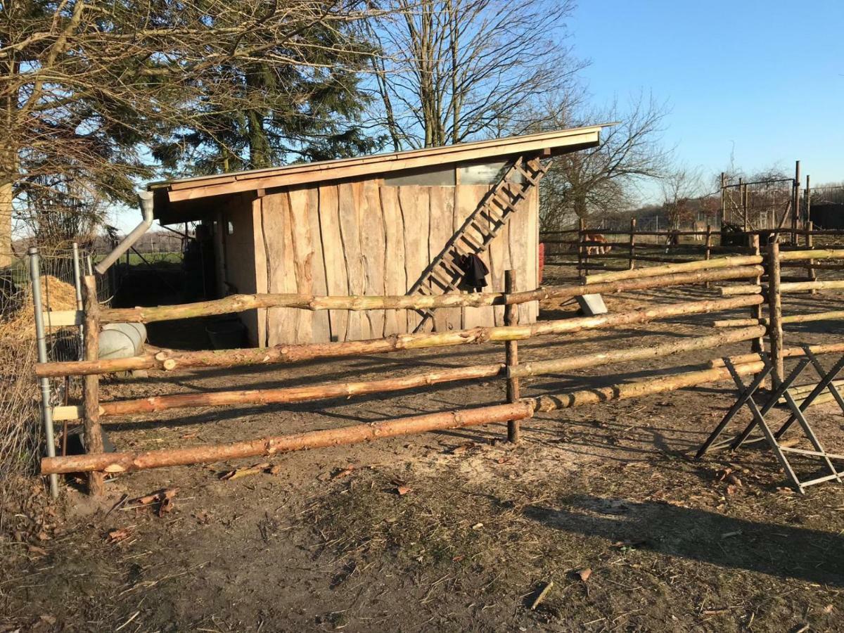 Landhaus Chlosta Buttelkow Extérieur photo